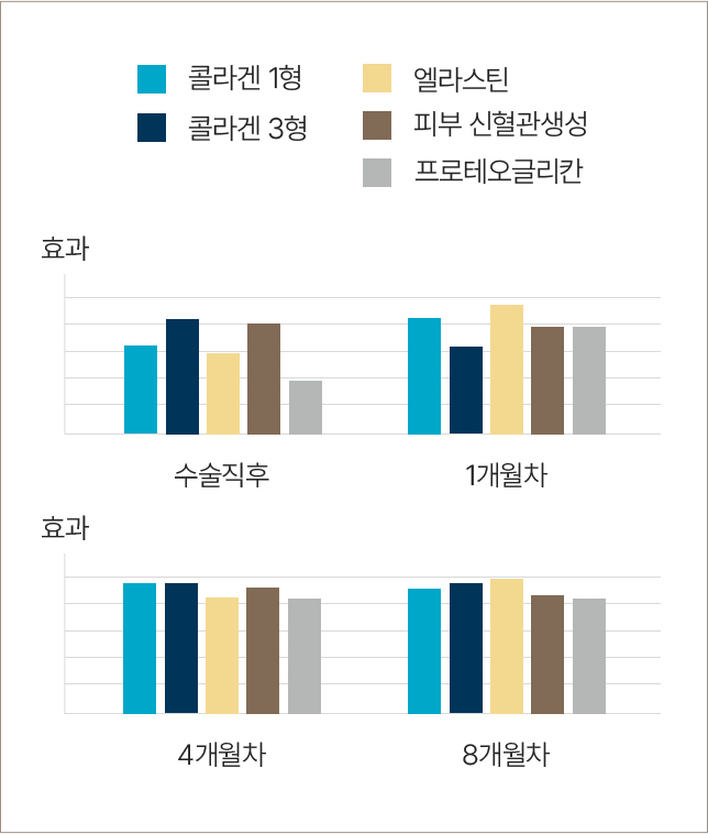 필러녹이기,필러,눈밑필러