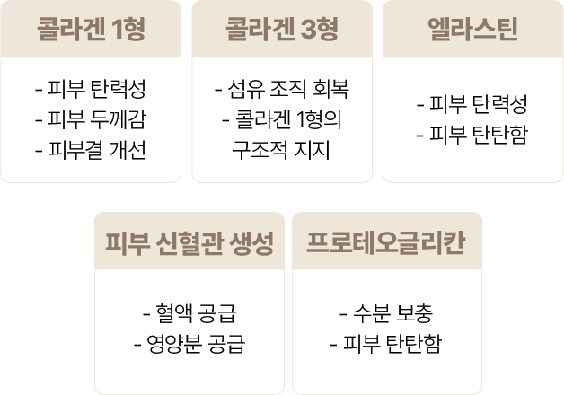 필러녹이기,필러,눈밑필러